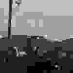 an8