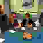 an8