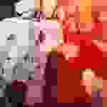 an8
