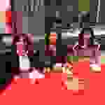 an9