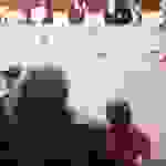 an9