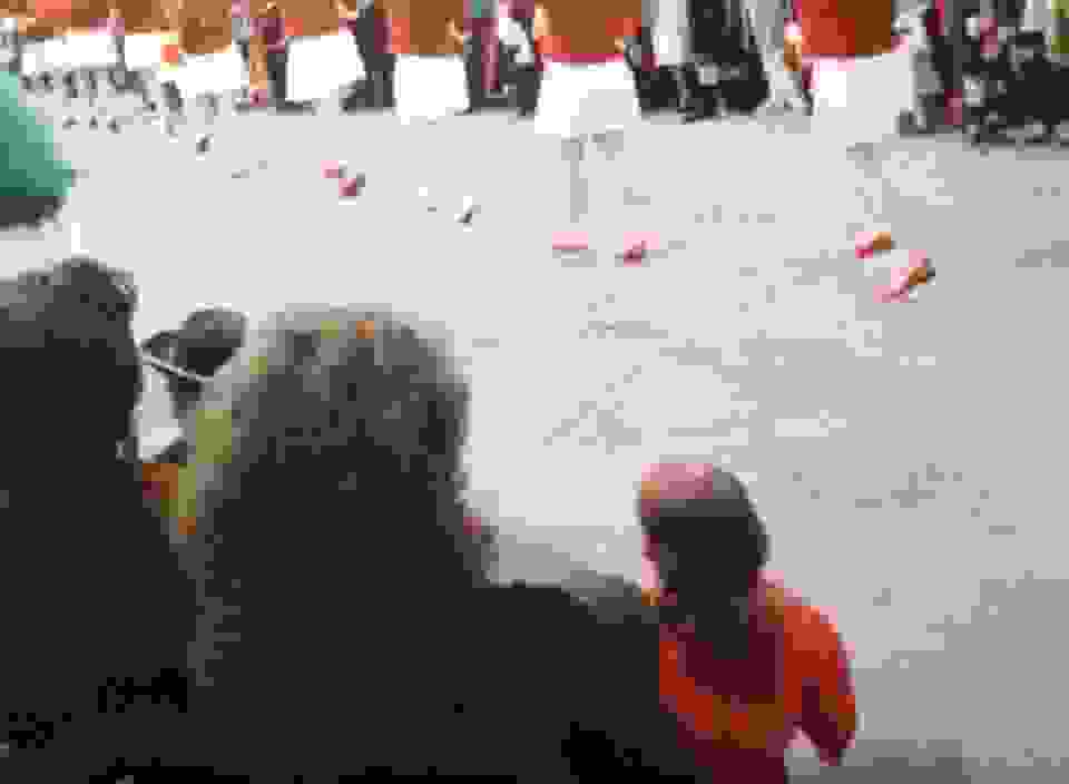 an9