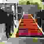 an9