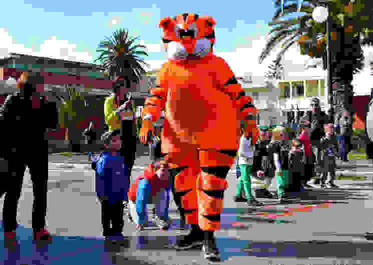 vallianeios2016-17