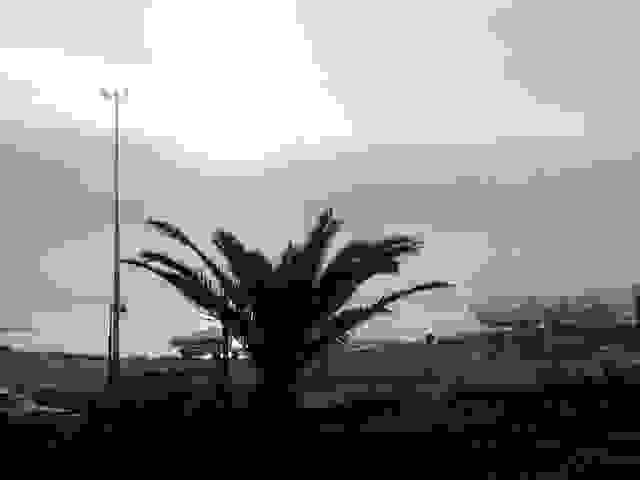 An