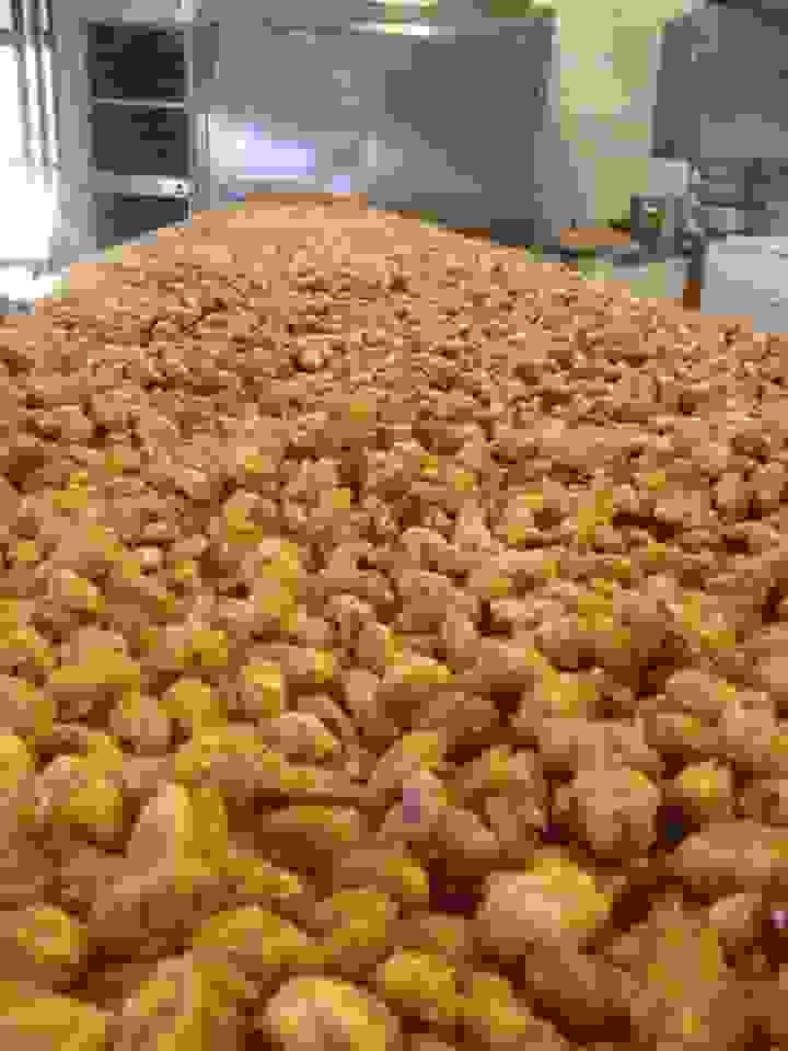 an1
