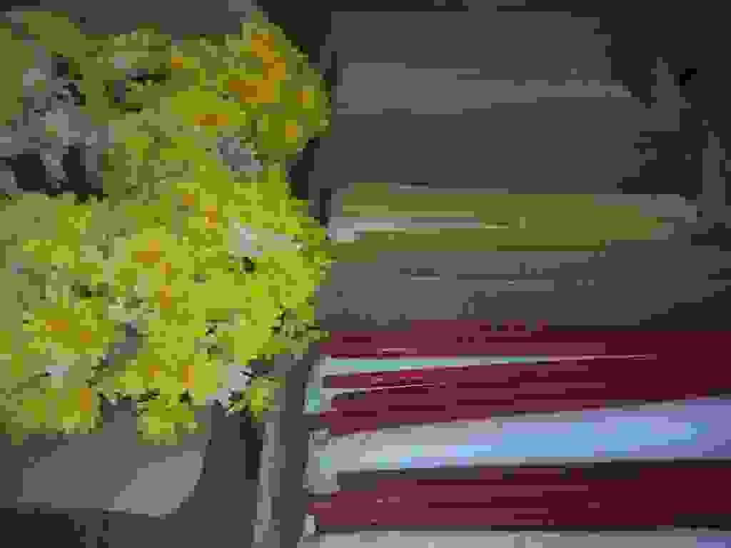 an1