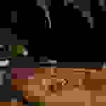 an2