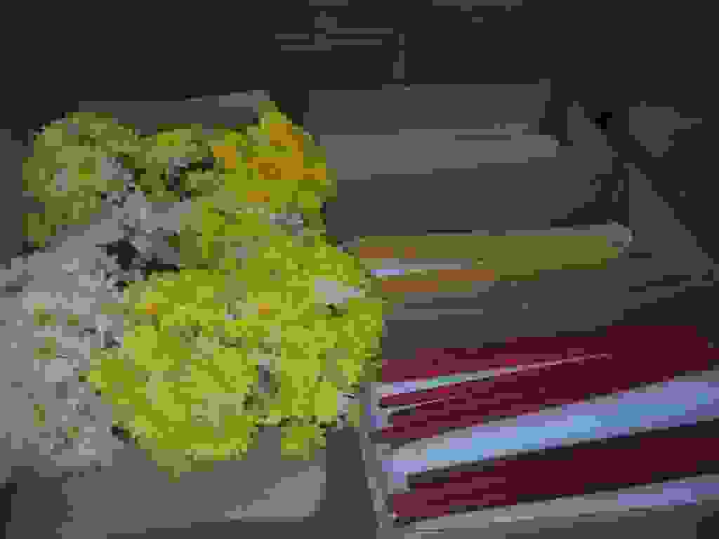 an2
