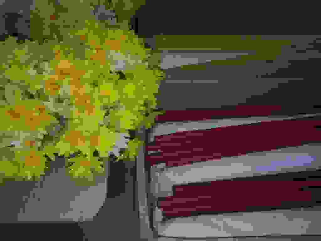 an3