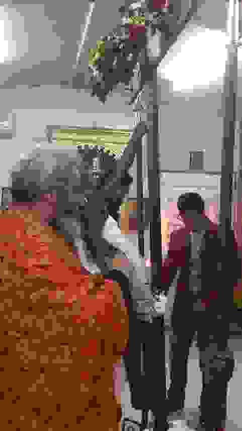 an3