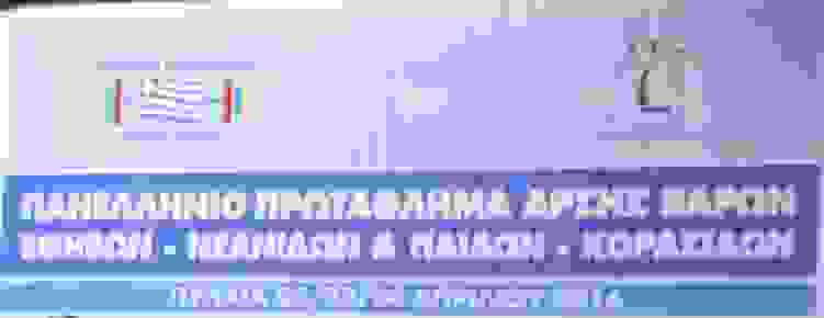 an5