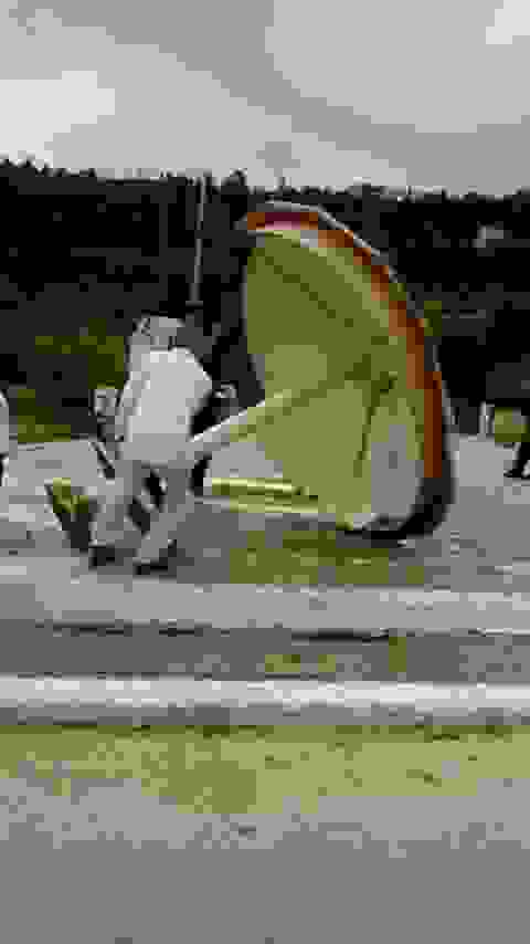an8