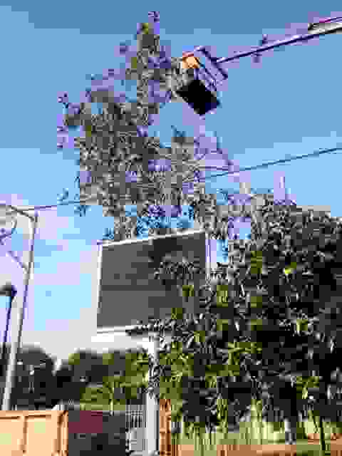 AN2