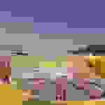 an