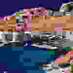 an1