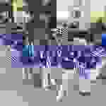 an1