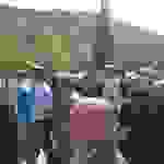 an15