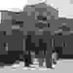 an19