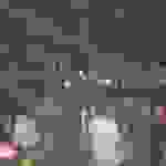 an3