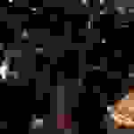 an3