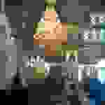 an8