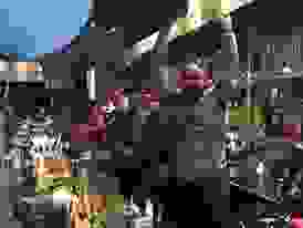 an9