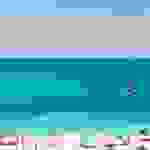 AN