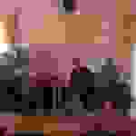 AN