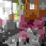 AN6