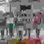 an
