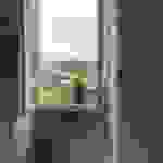 an