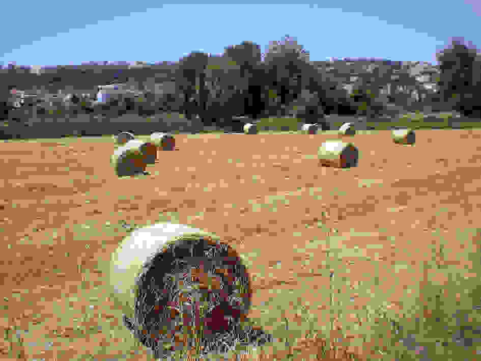 an
