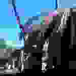an1