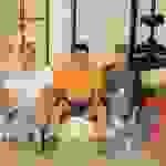 an3