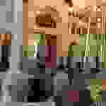 an7