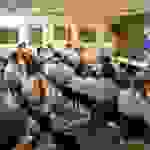 an
