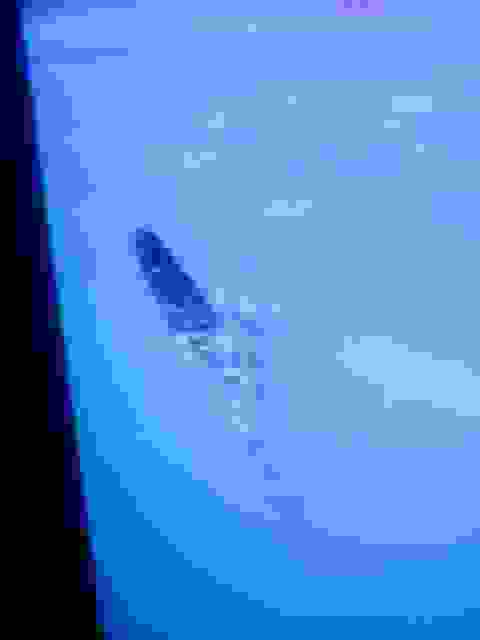 An 6