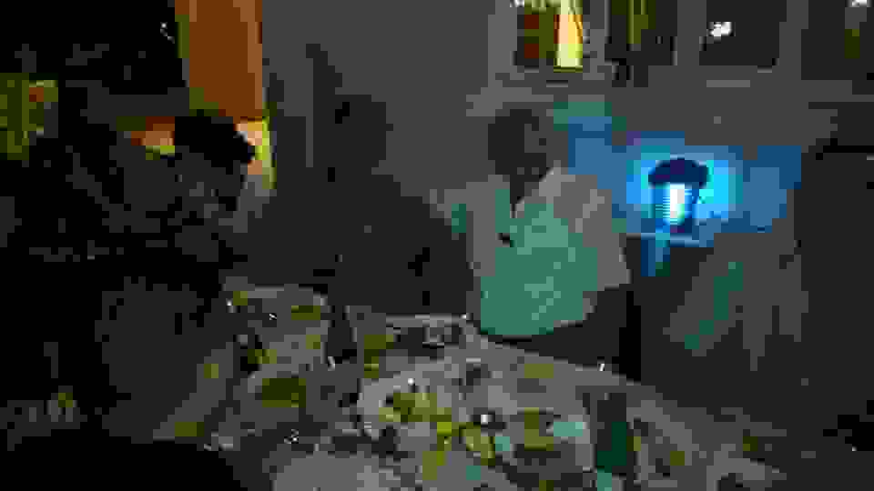 an15