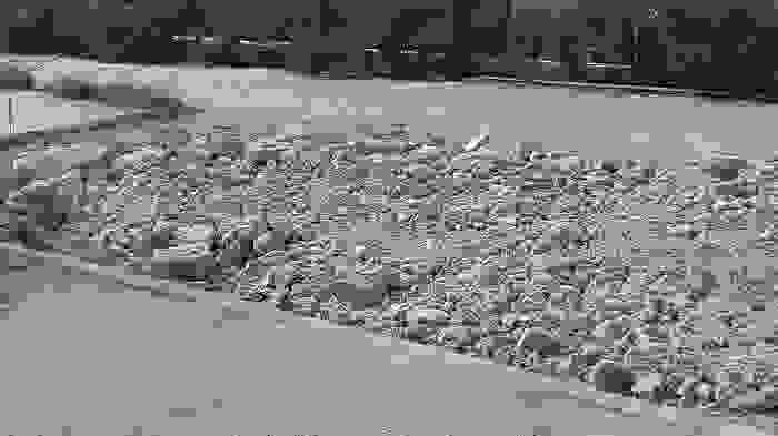 20160805_102220
