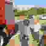 AN10