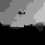 AN7