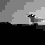 AN8