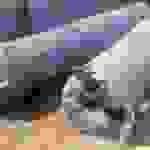 an