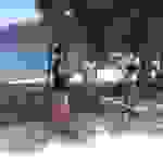 an1
