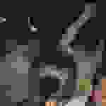 an2