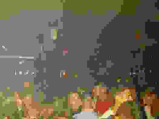an2