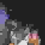an3