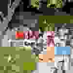 an7