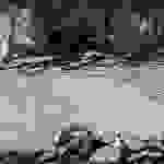 20160827_111935